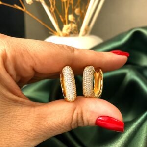 Brinco Argola Dourada Larga com Pedras